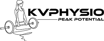 KVPhysics logo